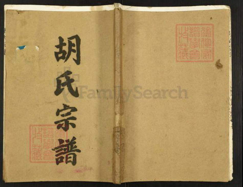 江苏省淮安市金湖县黎城街道胡氏安定堂族谱-胡氏宗谱.pdf电子版