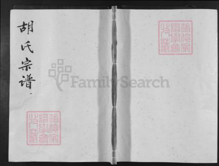 湖南省益阳市安化县渠江镇胡氏族谱-胡氏宗谱.pdf电子版插图