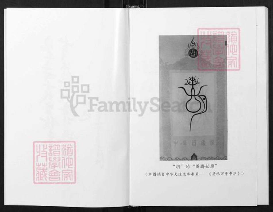 云南省玉溪市澄江市胡氏族谱-云南省玉溪市胡氏家族备考录.pdf电子版插图3