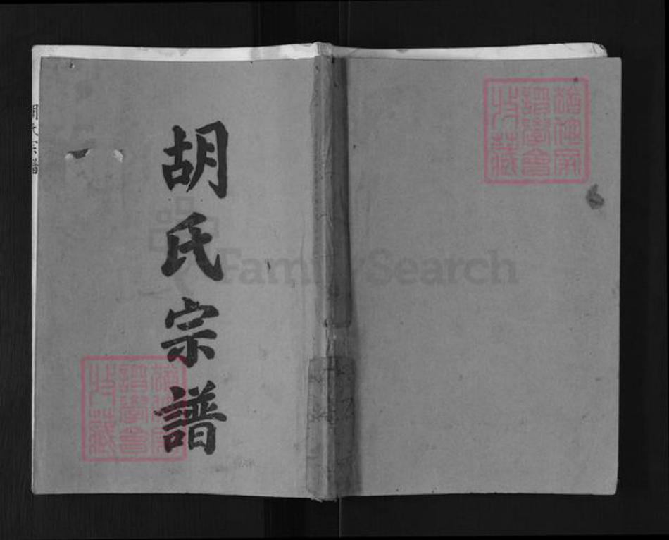 江苏省淮安市金湖县胡氏安定堂族谱-胡氏宗谱.pdf电子版