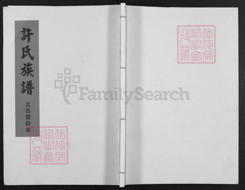 甘肃省武威民勤许氏太岳堂族谱-许氏族谱.pdf电子版