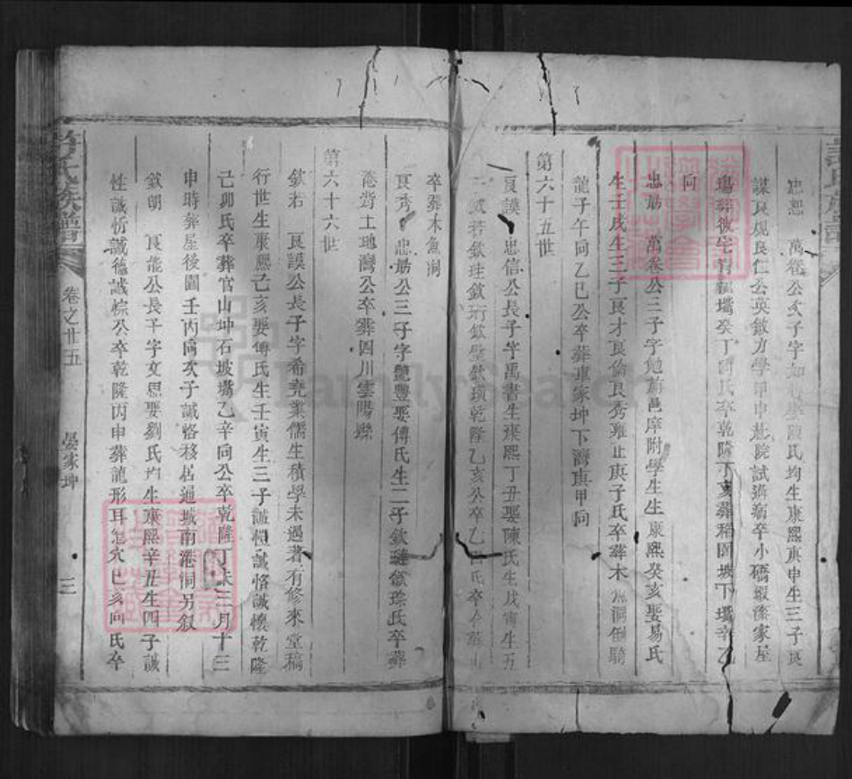 湖南省岳阳市许氏族谱-许氏族谱.pdf电子版插图2