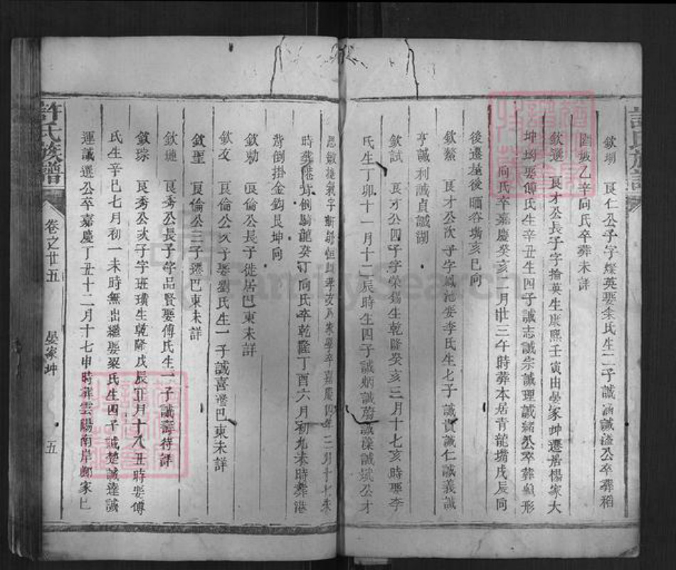 湖南省岳阳市许氏族谱-许氏族谱.pdf电子版插图4