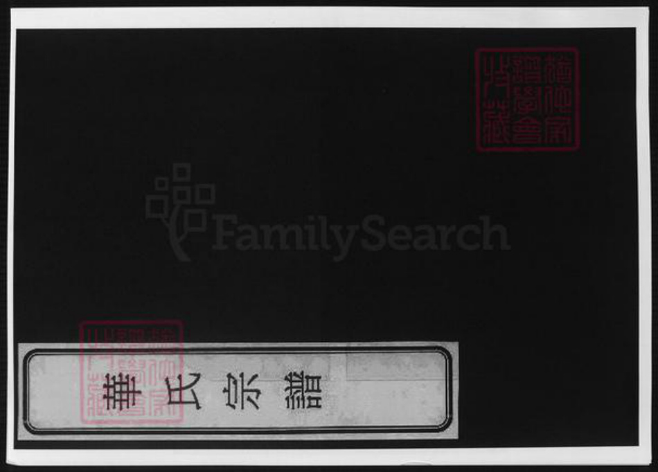 天津市华氏族谱-天津华氏南支宗谱.pdf电子版