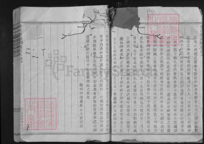 浙江省金华市永康市黄氏族谱-黄氏宗谱.pdf电子版插图2