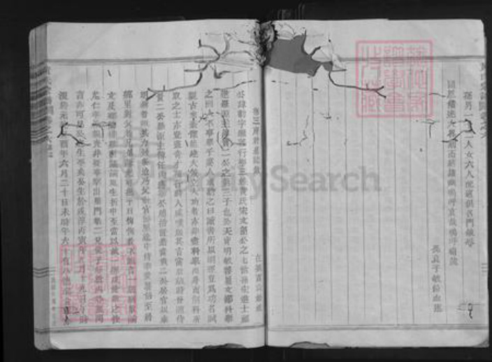 浙江省金华市永康市黄氏族谱-黄氏宗谱.pdf电子版插图5