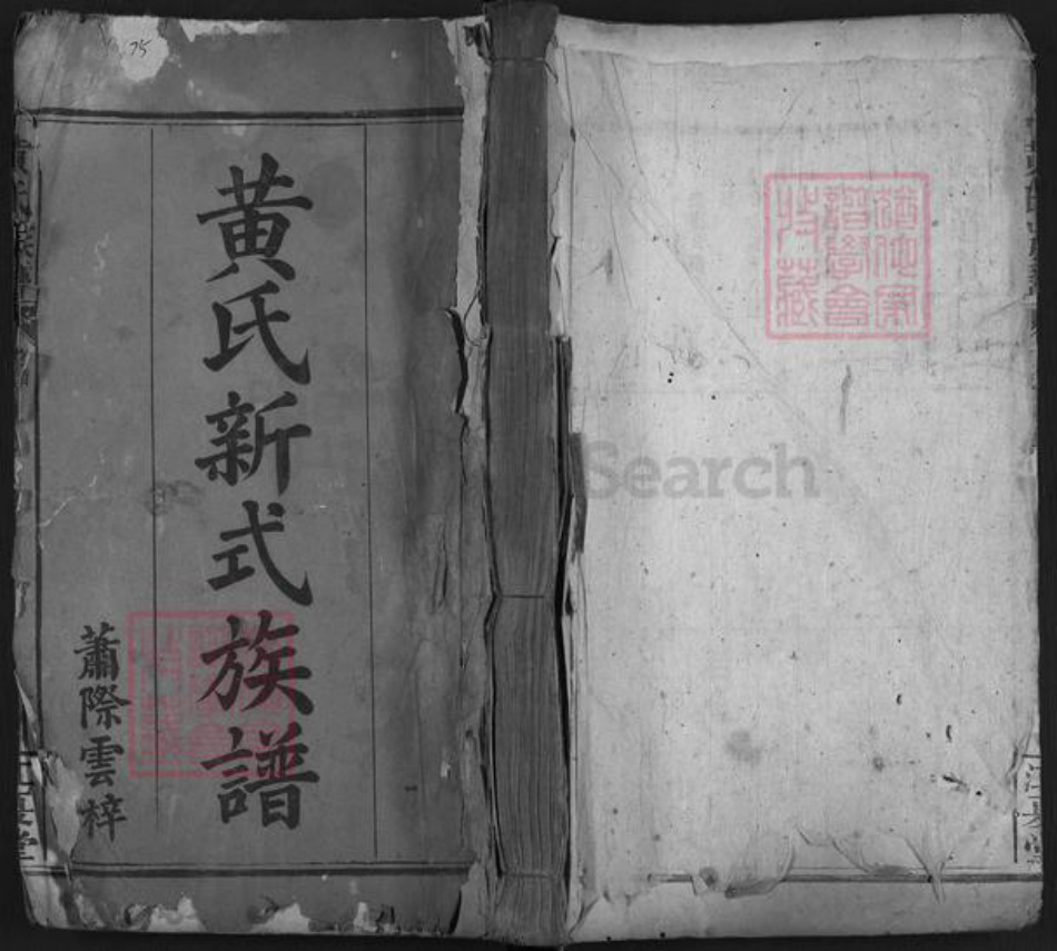 福建省漳州市平和县黄氏江夏堂族谱-黄氏新式族谱.pdf电子版插图