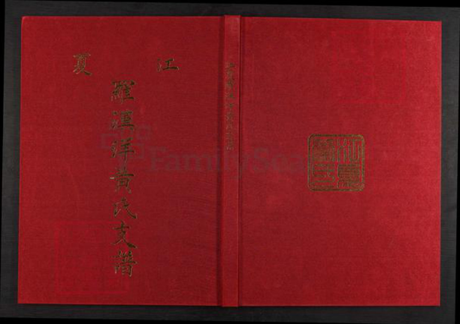 福建省龙岩市永定区虎岗镇黄氏族谱-江夏罗汉洋黄氏支谱.pdf电子版