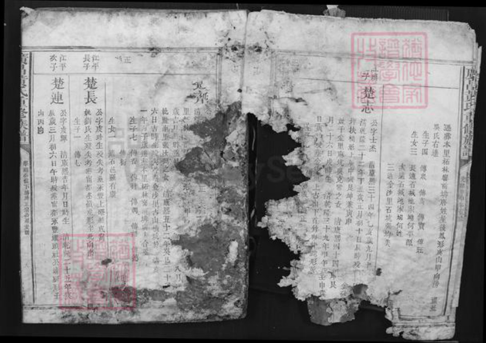 江西省抚州市广昌县黄氏族谱-广昌黄氏重修族谱.pdf电子版插图5