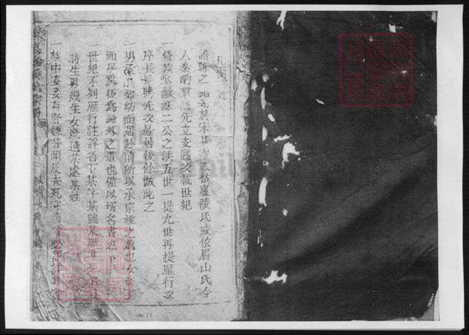 浙江省温州市苍南县黄氏族谱-苍南桥墩黄氏族谱.pdf电子版插图1 浙江省温州市苍南县黄氏族谱-苍南桥墩黄氏族谱.pdf电子版插图1