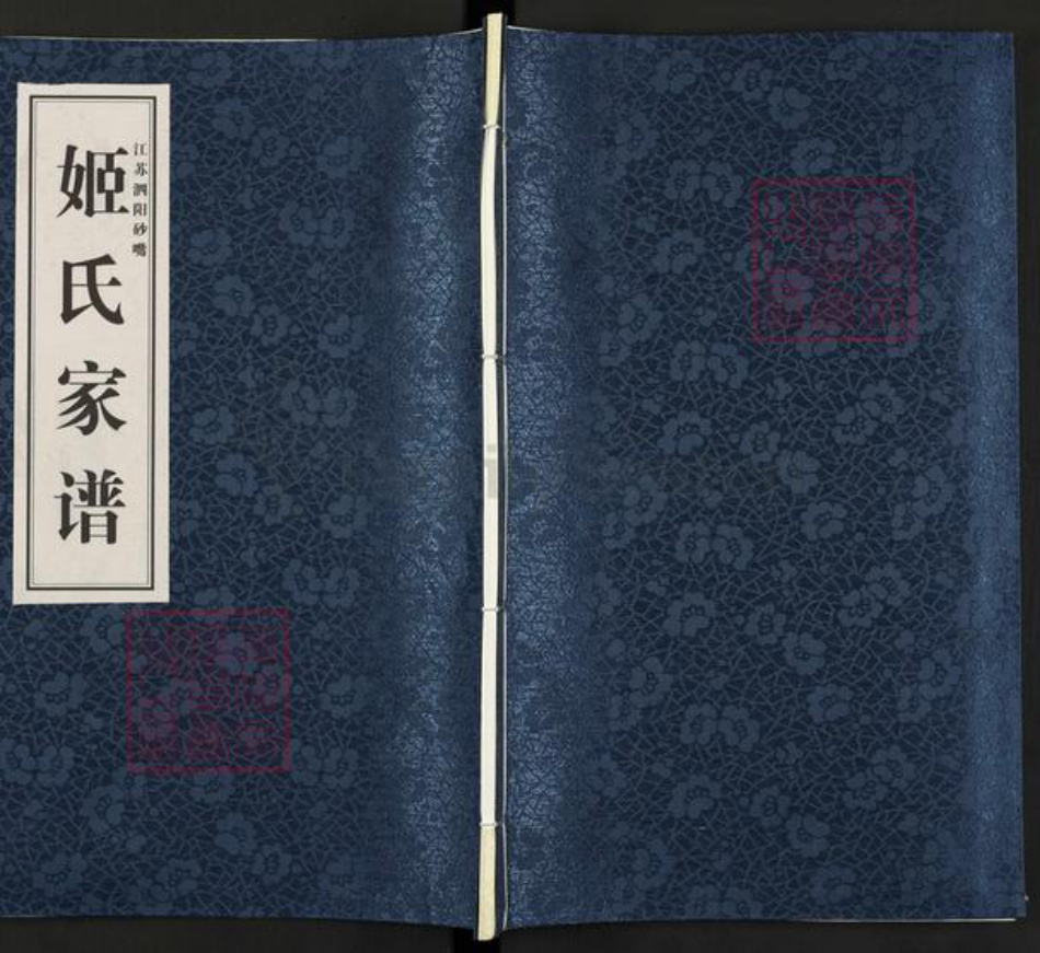 江苏省宿迁市泗阳县姬氏寿丘堂族谱-姬氏家谱.pdf电子版