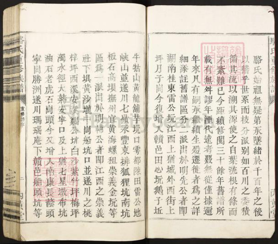 广东省河源市龙川县田心镇骆氏内黄堂族谱-骆氏重修族谱.pdf电子版插图2
