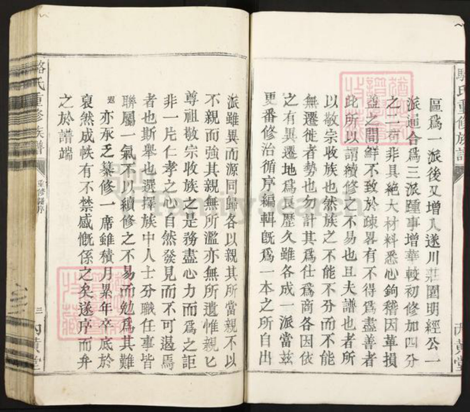 广东省河源市龙川县田心镇骆氏内黄堂族谱-骆氏重修族谱.pdf电子版插图3