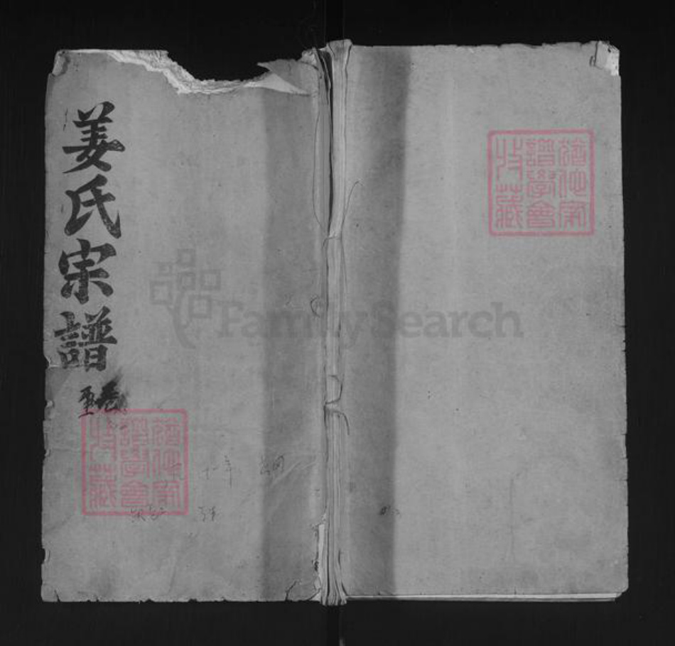 湖北省武汉市新洲区姜氏孝友堂族谱-姜氏宗谱.pdf电子版