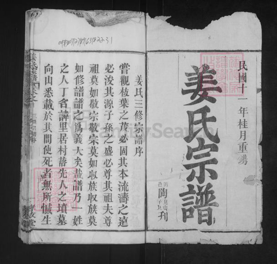 湖北省武汉市新洲区姜氏孝友堂族谱-姜氏宗谱.pdf电子版插图1