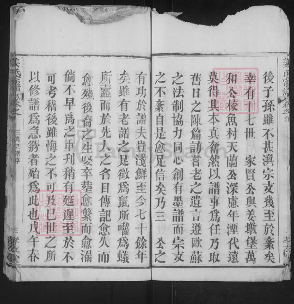 湖北省武汉市新洲区姜氏孝友堂族谱-姜氏宗谱.pdf电子版插图3