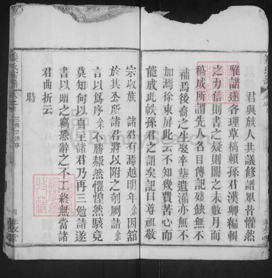 湖北省武汉市新洲区姜氏孝友堂族谱-姜氏宗谱.pdf电子版插图4