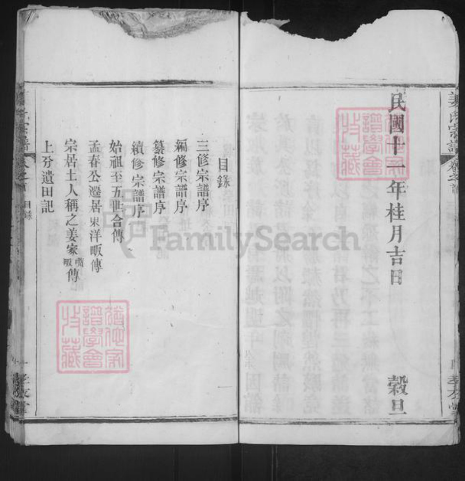 湖北省武汉市新洲区姜氏孝友堂族谱-姜氏宗谱.pdf电子版插图5