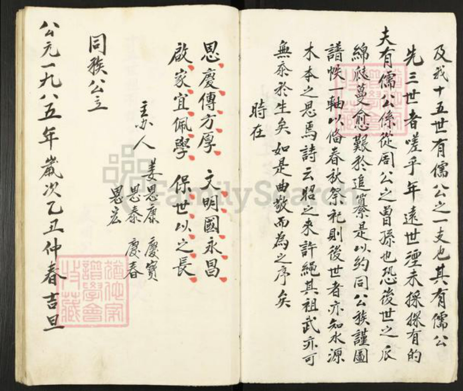 江苏省扬州市高邮市高邮街道姜氏族谱-姜氏谱书.pdf电子版插图2