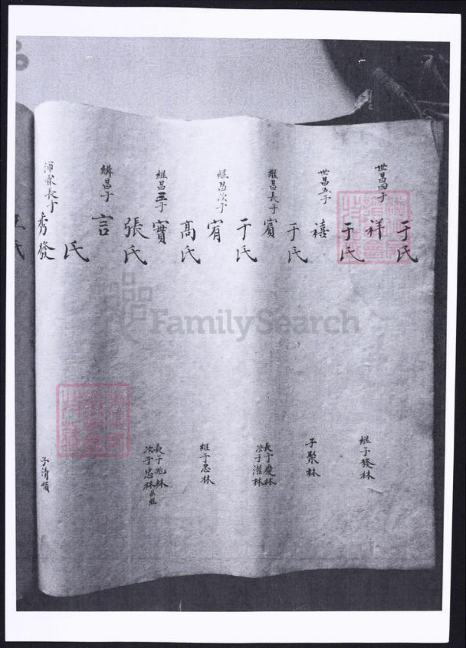 山东省烟台市海阳市姜氏族谱-姜氏支谱.pdf电子版插图3 山东省烟台市海阳市姜氏族谱-姜氏支谱.pdf电子版插图3