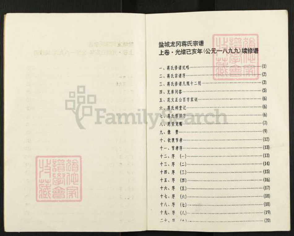 江苏省盐城市盐都区龙冈镇蒋氏务本堂族谱-盐城龙岗蒋氏宗谱.pdf电子版插图2