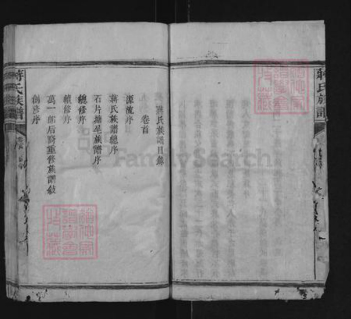 湖南省邵阳市隆回县滩头镇蒋氏族谱-蒋氏族谱.pdf电子版插图3