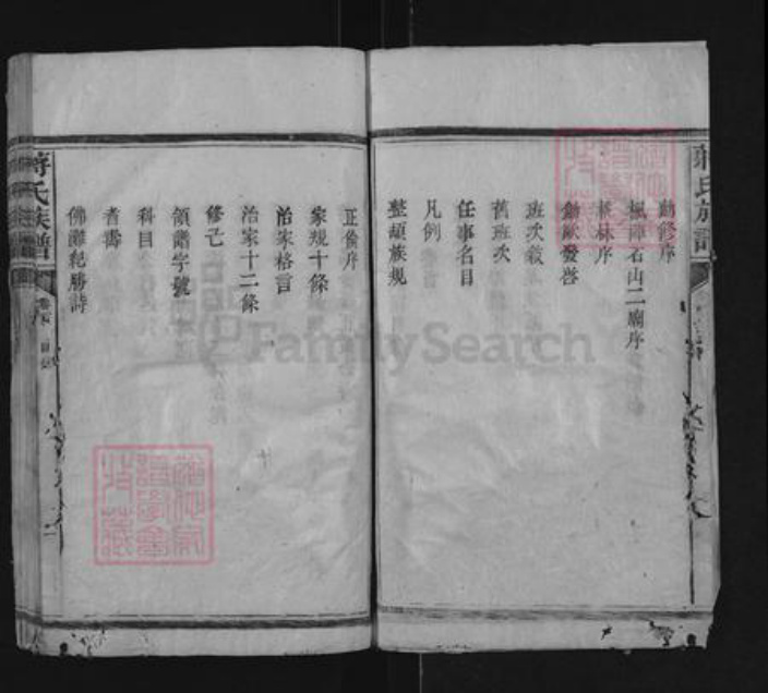 湖南省邵阳市隆回县滩头镇蒋氏族谱-蒋氏族谱.pdf电子版插图4