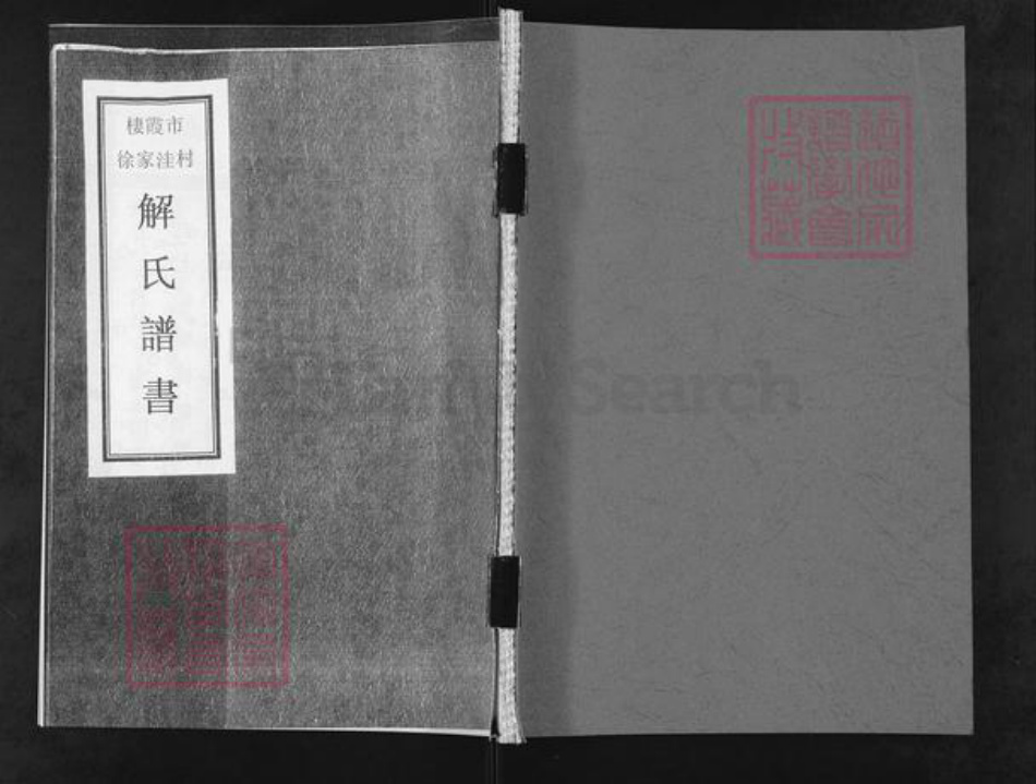 山东省烟台市栖霞市庄园街道解氏族谱-栖霞市徐家洼村解氏谱书.pdf电子版