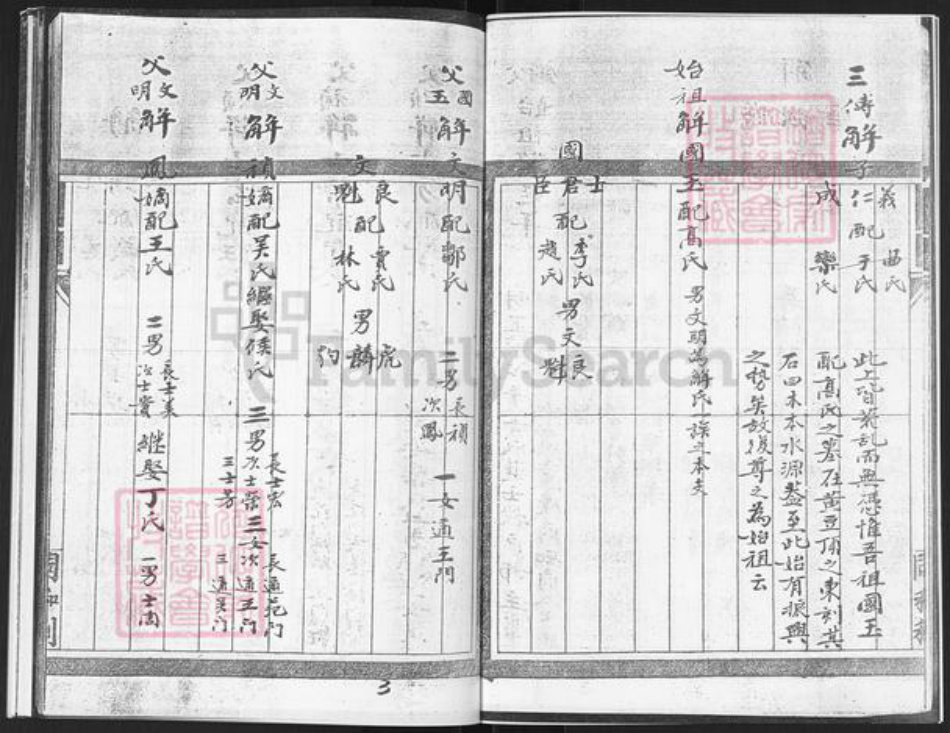 山东省烟台市栖霞市庄园街道解氏族谱-栖霞市徐家洼村解氏谱书.pdf电子版插图3