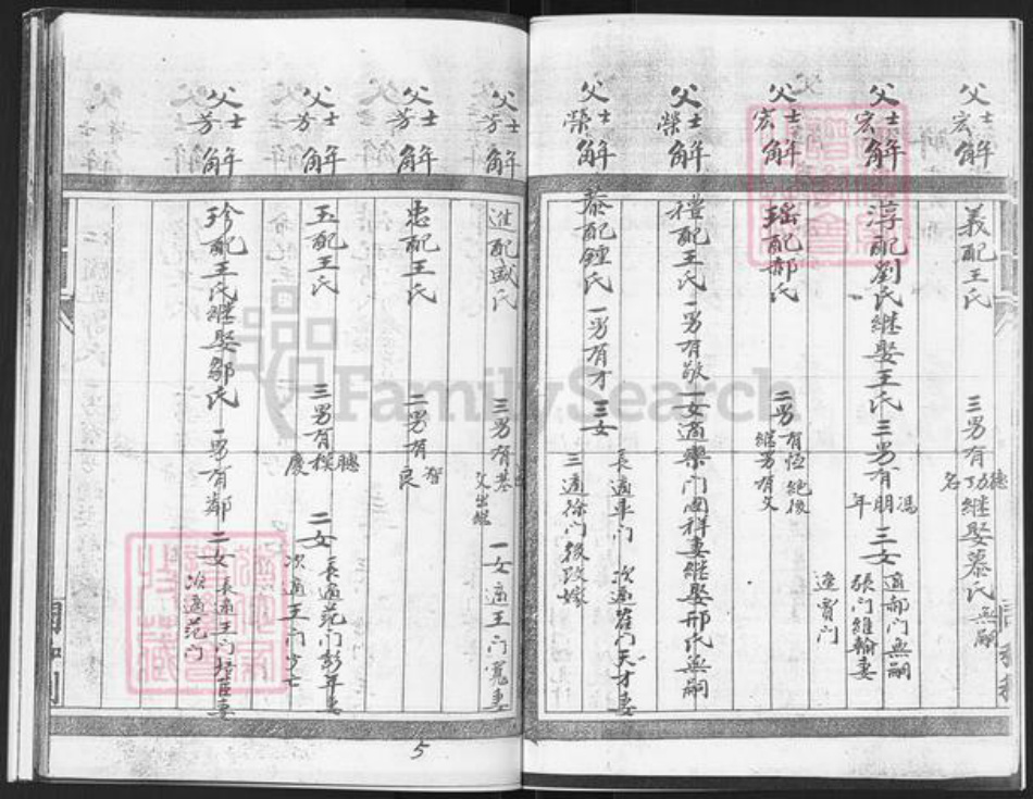 山东省烟台市栖霞市庄园街道解氏族谱-栖霞市徐家洼村解氏谱书.pdf电子版插图5