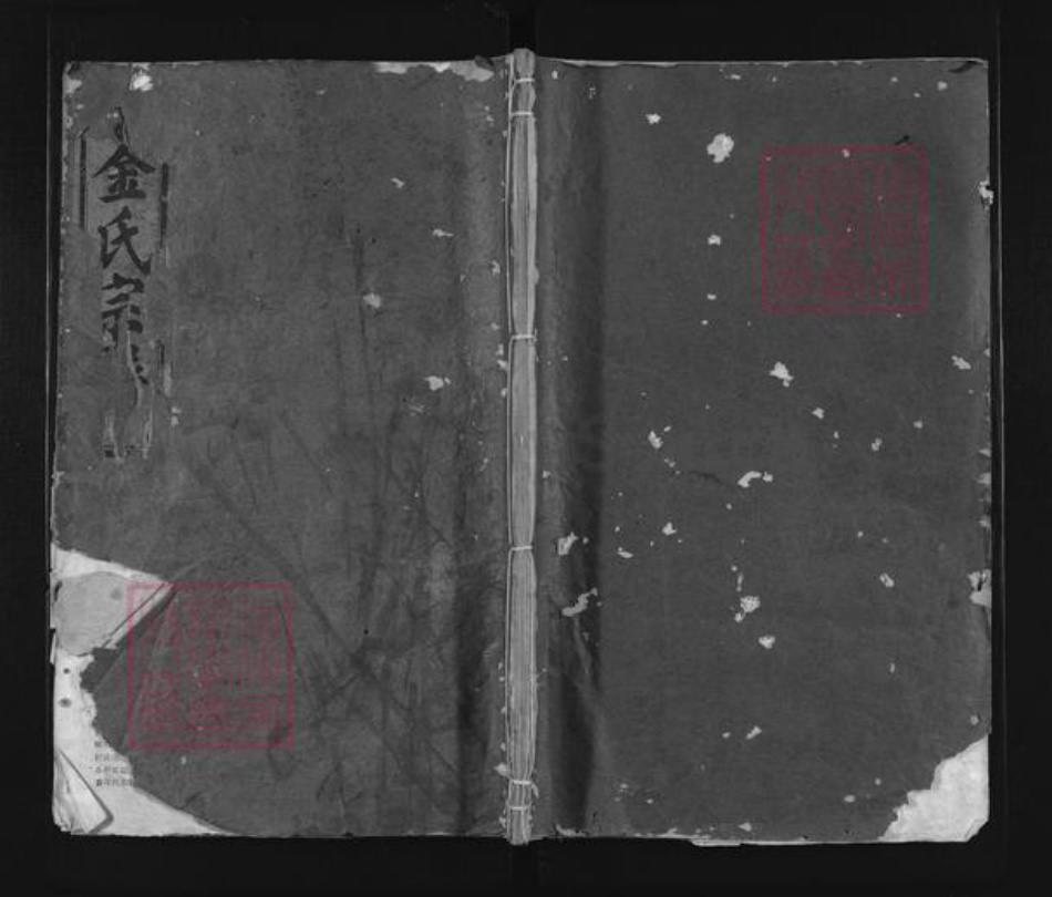 浙江省丽水市缙云县金氏族谱-彭城郡金氏宗谱.pdf电子版插图 浙江省丽水市缙云县金氏族谱-彭城郡金氏宗谱.pdf电子版插图