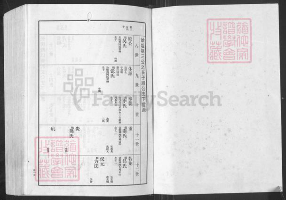 湖北省黄冈市红安县金氏振声堂族谱-金氏宗谱.pdf电子版插图1