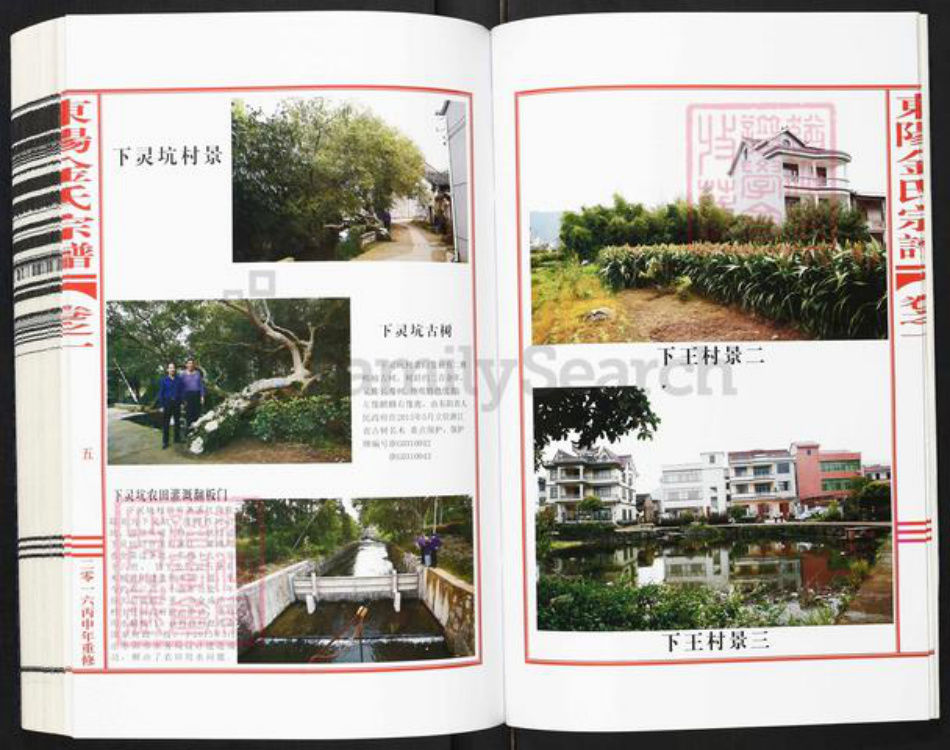 浙江省金华市东阳市金氏敦睦堂族谱-东阳市金氏宗谱.pdf电子版插图5