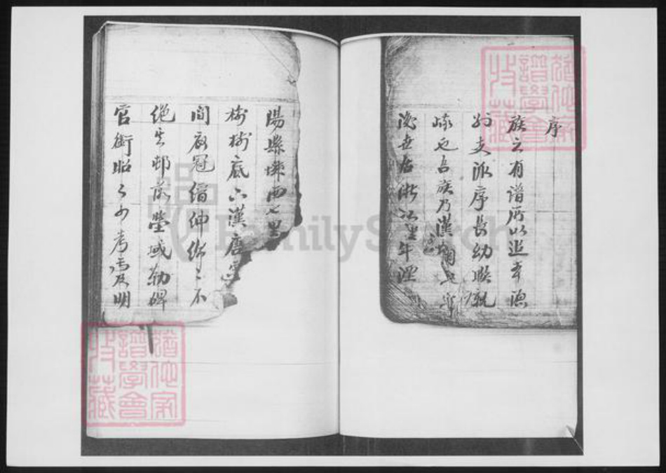 山东省青岛市即墨区鞠氏族谱-鞠氏族谱.pdf电子版插图2 山东省青岛市即墨区鞠氏族谱-鞠氏族谱.pdf电子版插图2