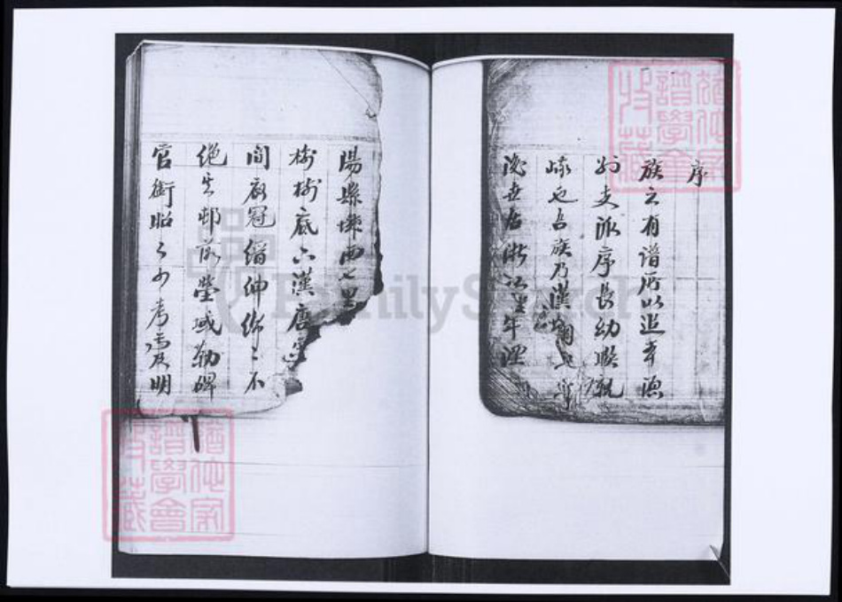 山东省青岛市即墨区鞠氏族谱-鞠氏族谱.pdf电子版插图2 山东省青岛市即墨区鞠氏族谱-鞠氏族谱.pdf电子版插图2