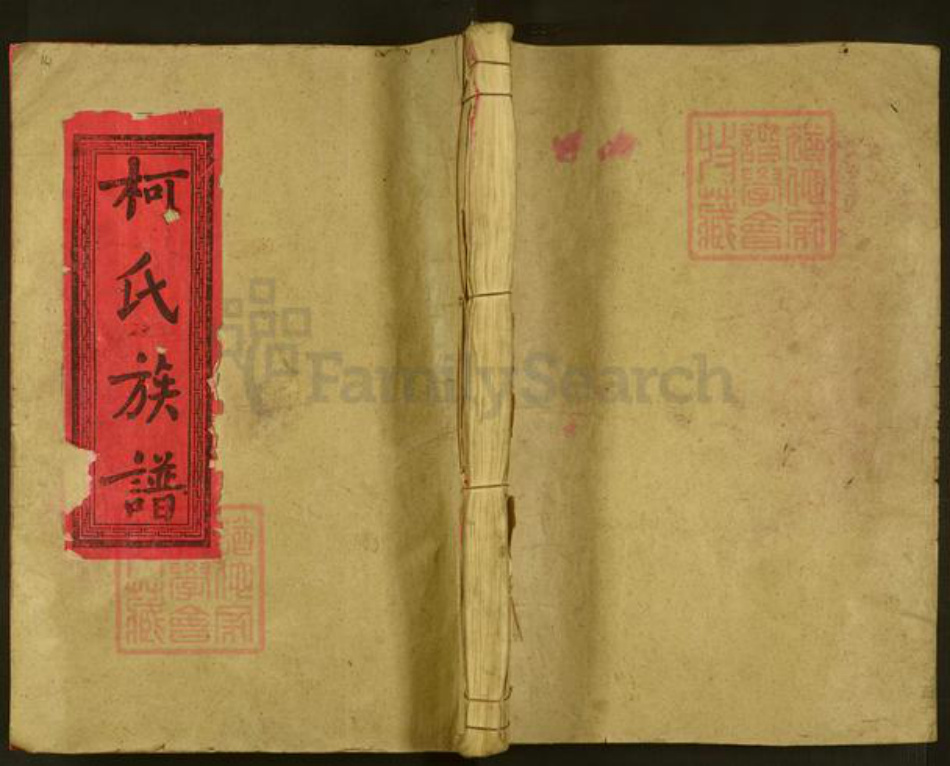 福建省漳州市漳浦县绥安镇柯氏族谱-绥安柯氏族谱.pdf电子版插图