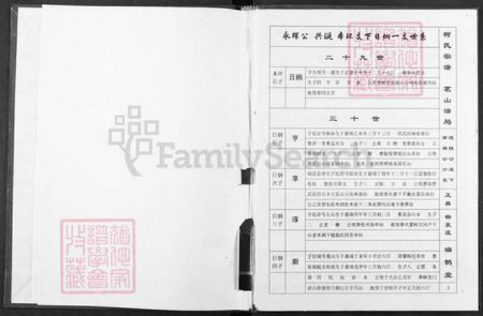 湖北省武汉市武昌区柯氏瑞鹊堂族谱-柯氏宗谱.pdf电子版插图2