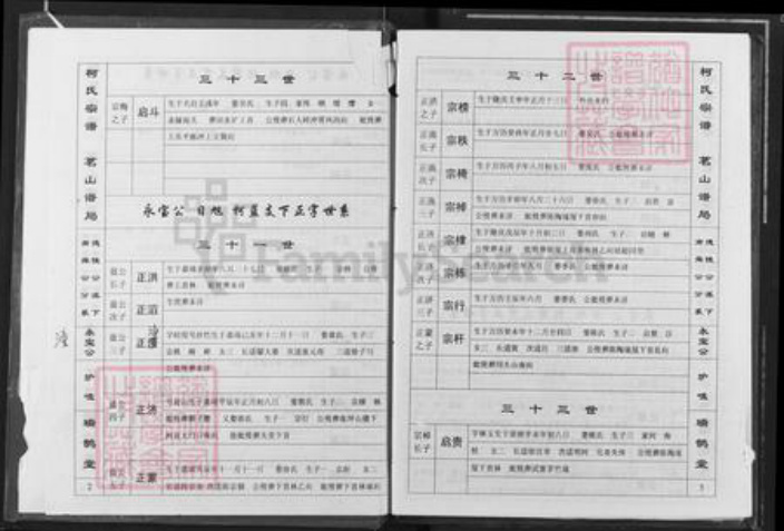 江西省九江市瑞昌市乐园乡柯氏瑞鹊堂族谱-柯氏宗谱.pdf电子版插图2