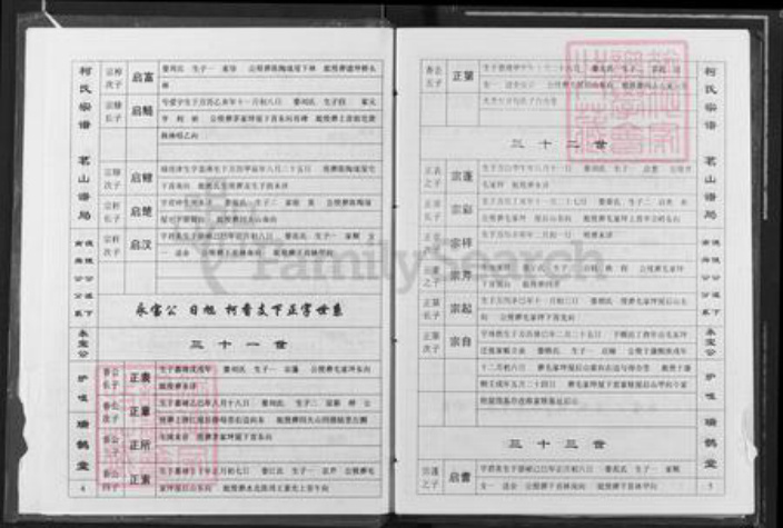 江西省九江市瑞昌市乐园乡柯氏瑞鹊堂族谱-柯氏宗谱.pdf电子版插图3