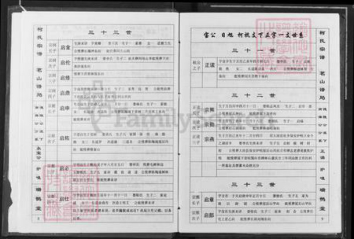 江西省九江市瑞昌市乐园乡柯氏瑞鹊堂族谱-柯氏宗谱.pdf电子版插图5