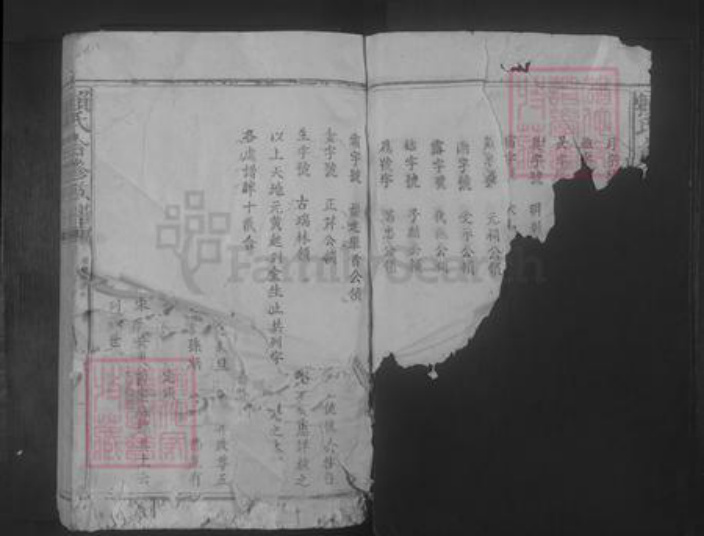 福建省赖氏族谱-赖氏合修族谱 [不分卷].pdf电子版插图3