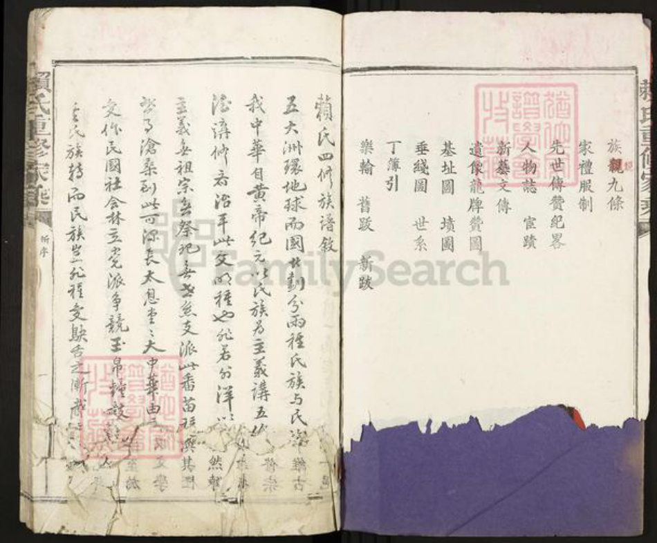 福建省龙岩市永定区合溪乡赖氏族谱-赖氏重修家乘.pdf电子版插图2