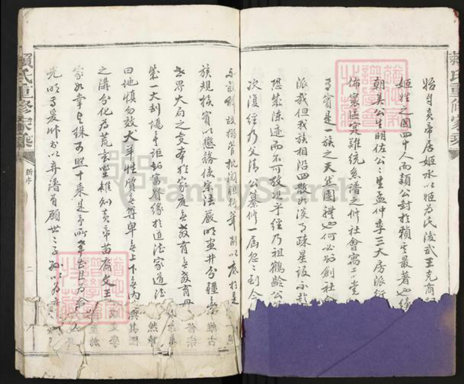 福建省龙岩市永定区合溪乡赖氏族谱-赖氏重修家乘.pdf电子版插图3