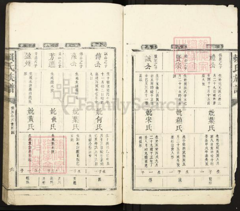 江西省赣州市赣县区赖氏族谱-赖氏族谱.pdf电子版插图4