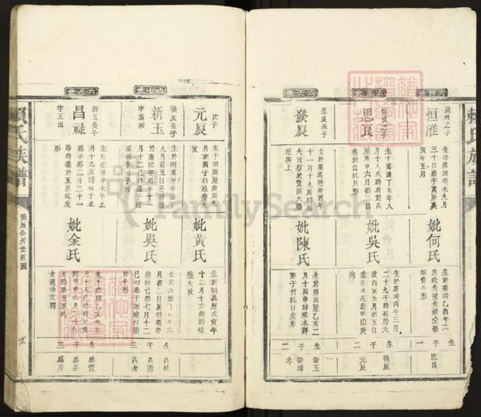 江西省赣州市赣县区赖氏族谱-赖氏族谱.pdf电子版插图5