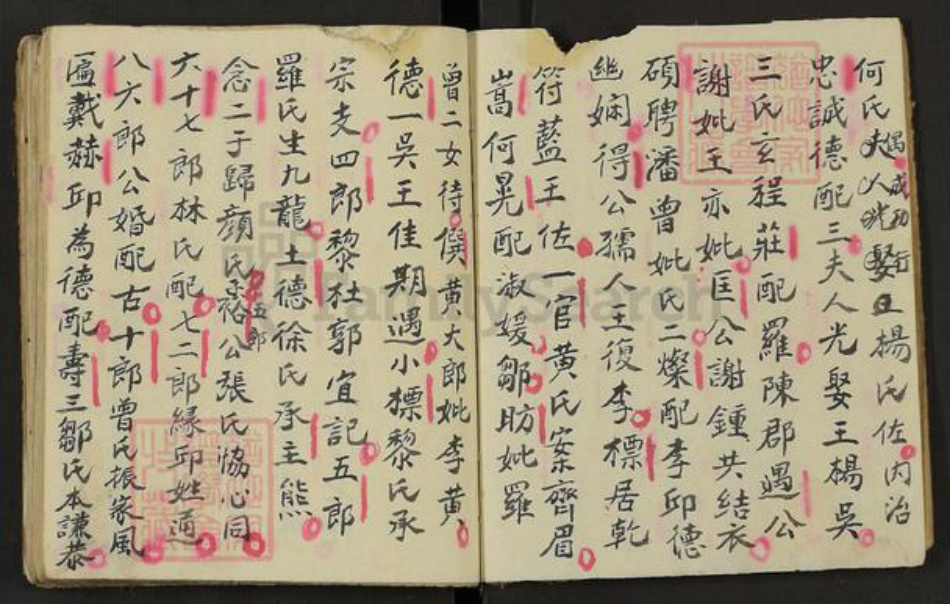 江西省吉安市遂川县左安镇赖氏松阳堂族谱-赖氏族系.pdf电子版插图2 江西省吉安市遂川县左安镇赖氏松阳堂族谱-赖氏族系.pdf电子版插图2