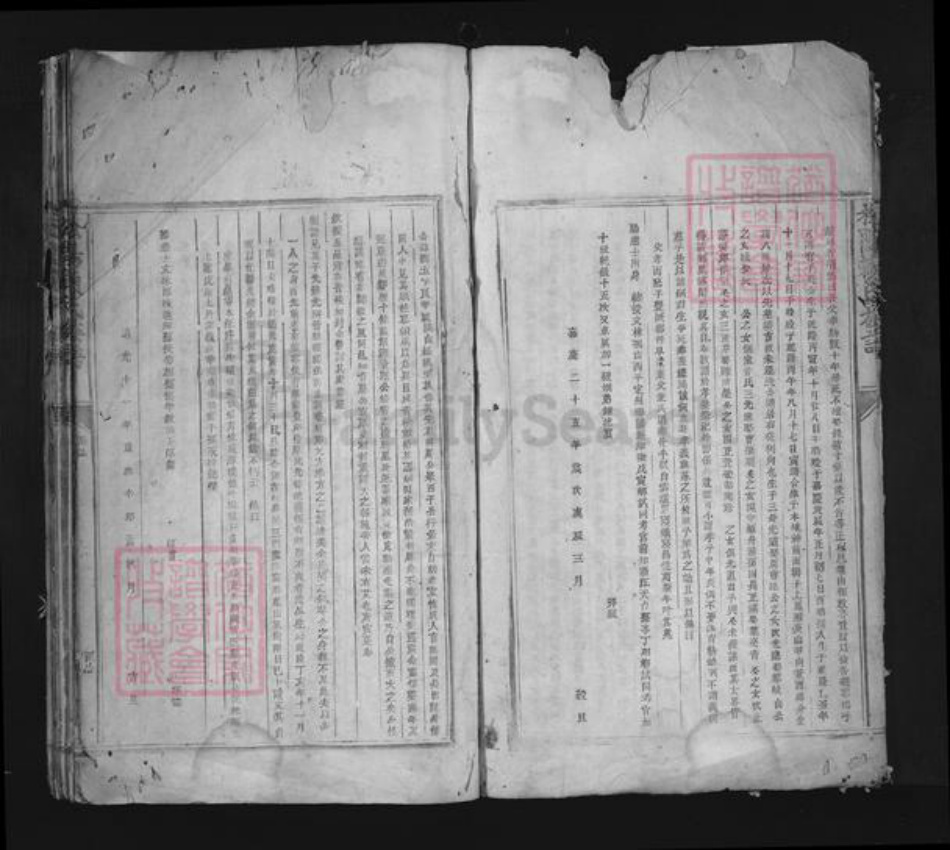 江西省赣州市赖氏族谱-松阳赖氏族谱.pdf电子版插图5 江西省赣州市赖氏族谱-松阳赖氏族谱.pdf电子版插图5