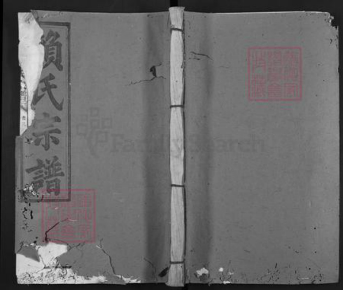 福建省龙岩市上杭县赖氏颍川堂族谱-赖氏宗谱.pdf电子版