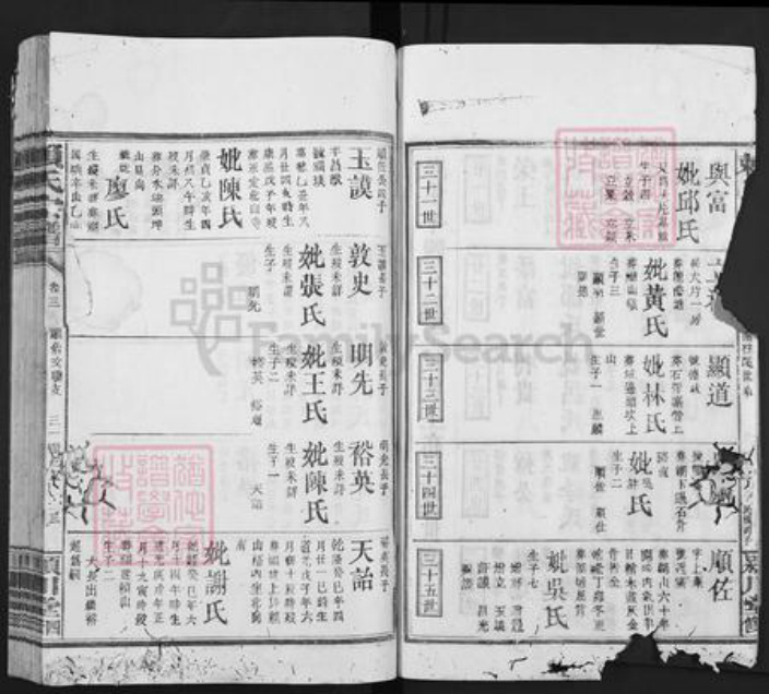 福建省龙岩市上杭县赖氏颍川堂族谱-赖氏宗谱.pdf电子版插图3