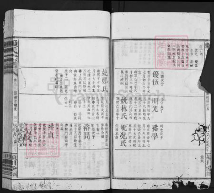 福建省龙岩市上杭县赖氏颍川堂族谱-赖氏宗谱.pdf电子版插图4